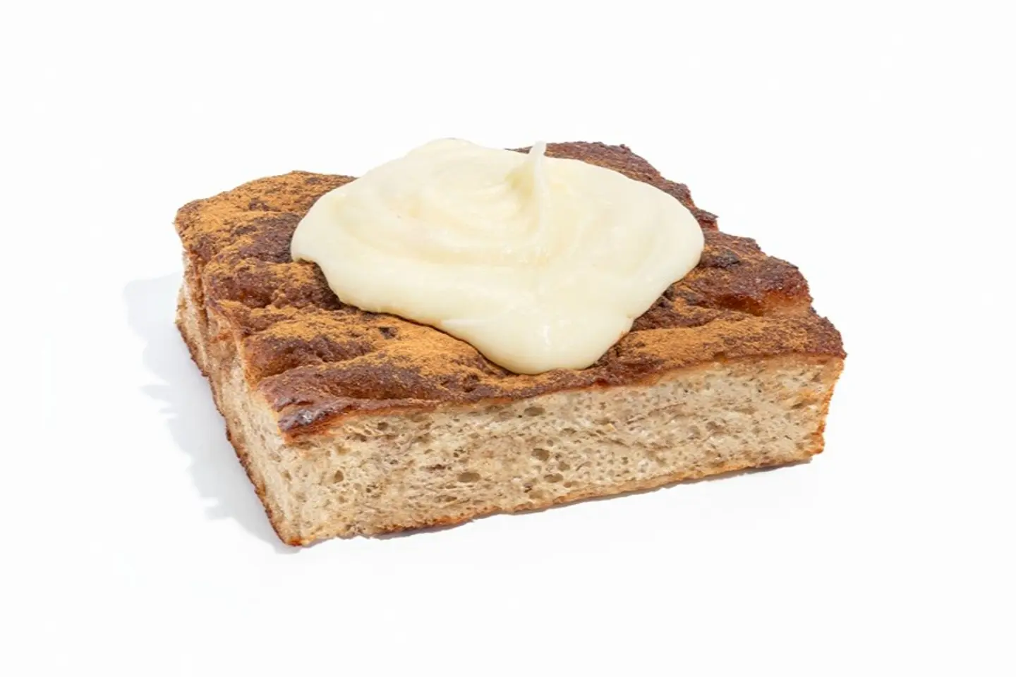 سينامون فوكاشيا - كبير