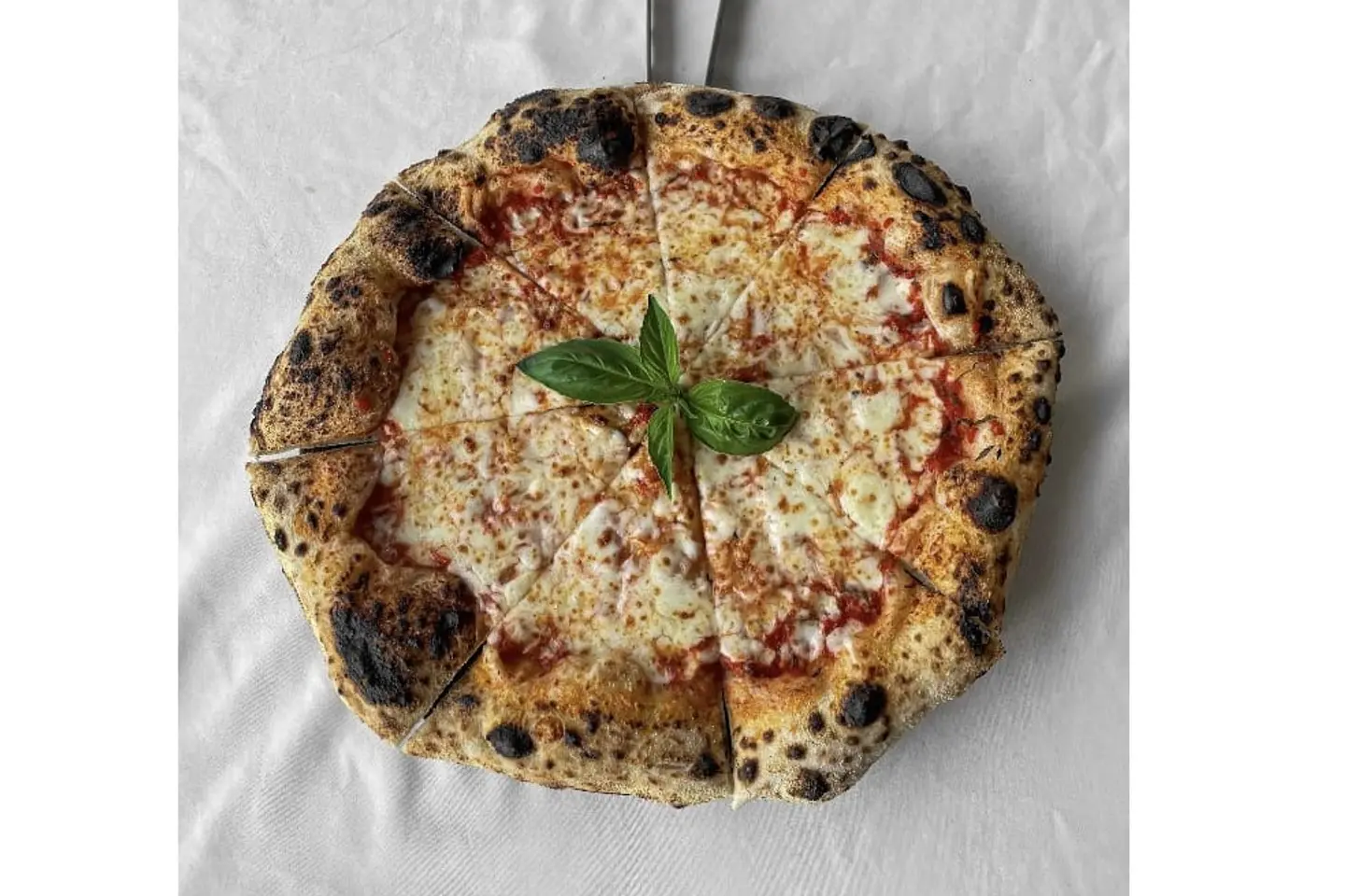 Margherita Pizza - Medium