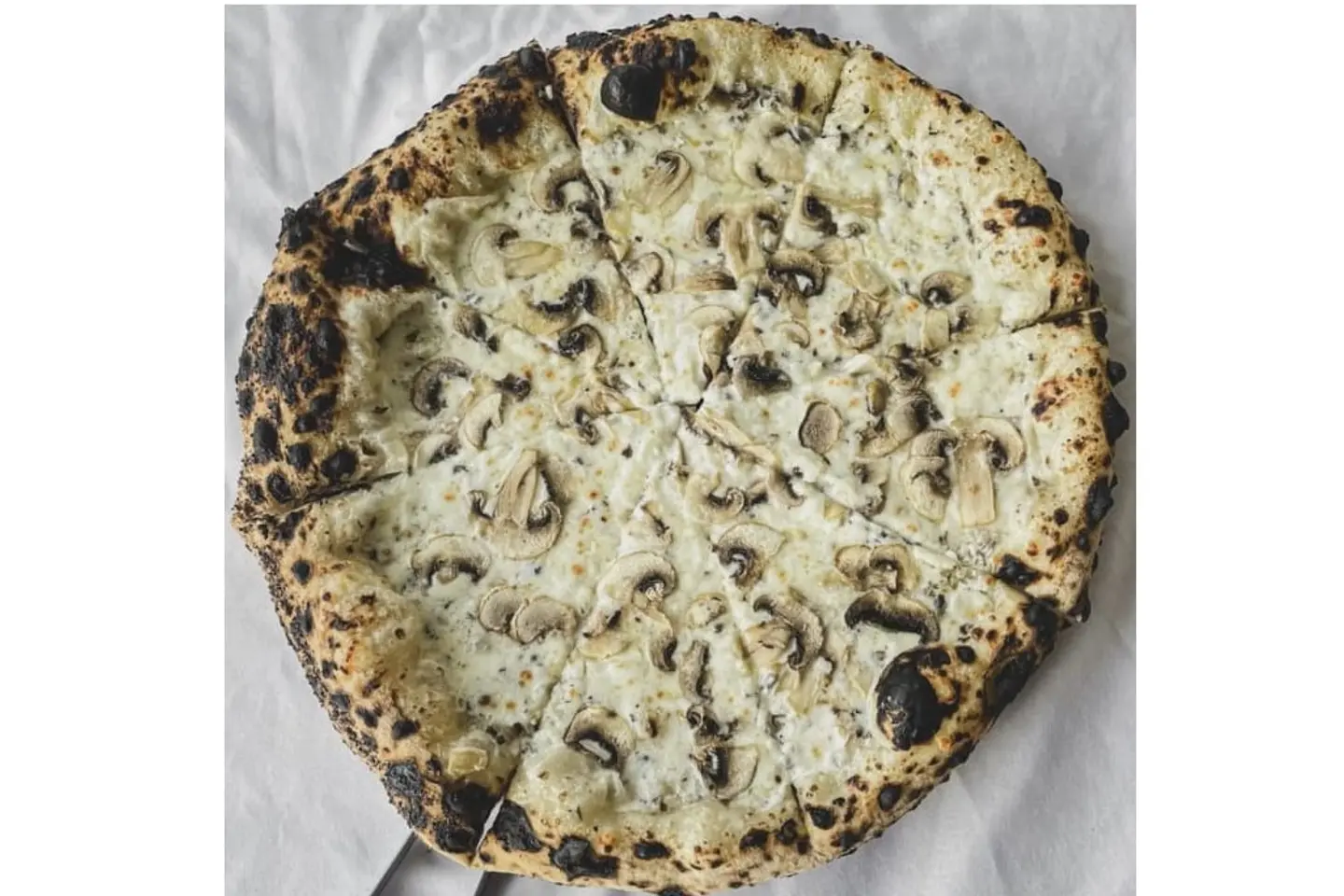 Truffle - Medium