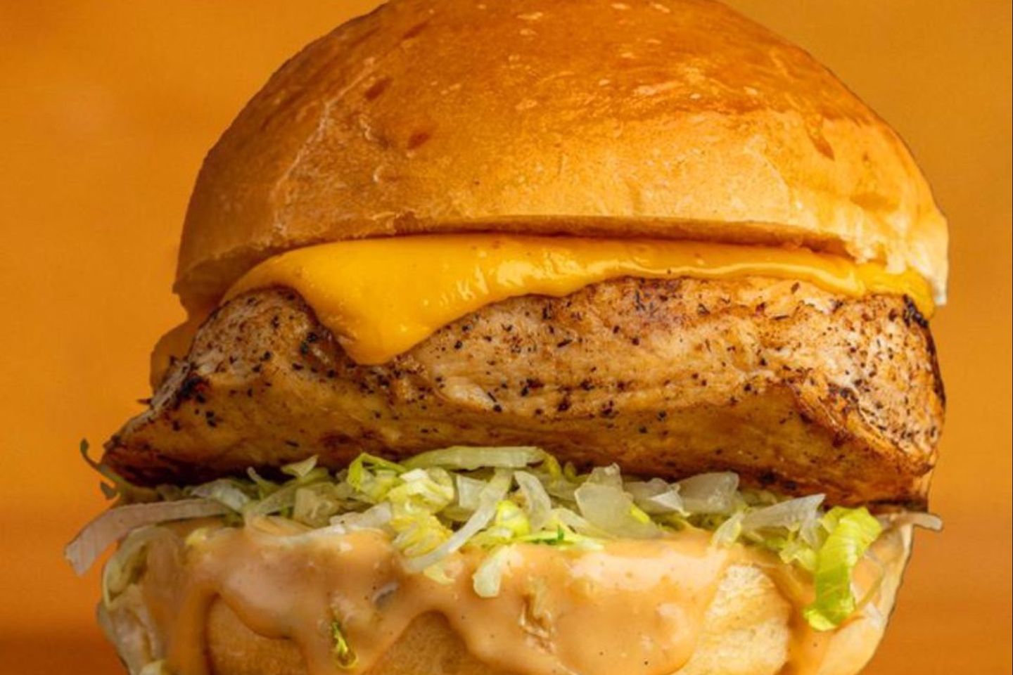 Grilled Chicken - Meal
