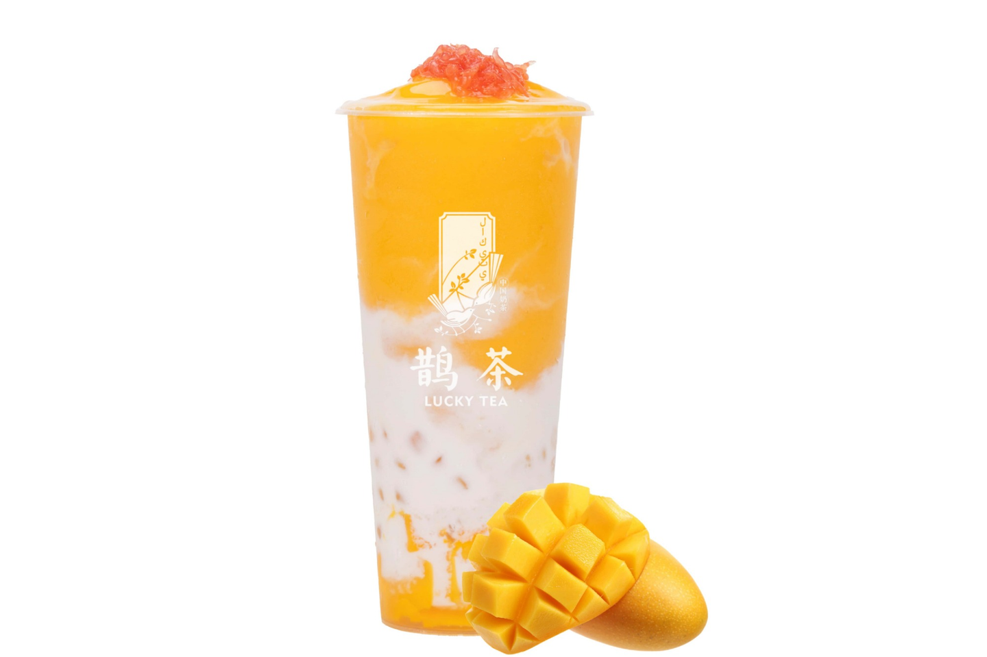 Mango With Sago - Large