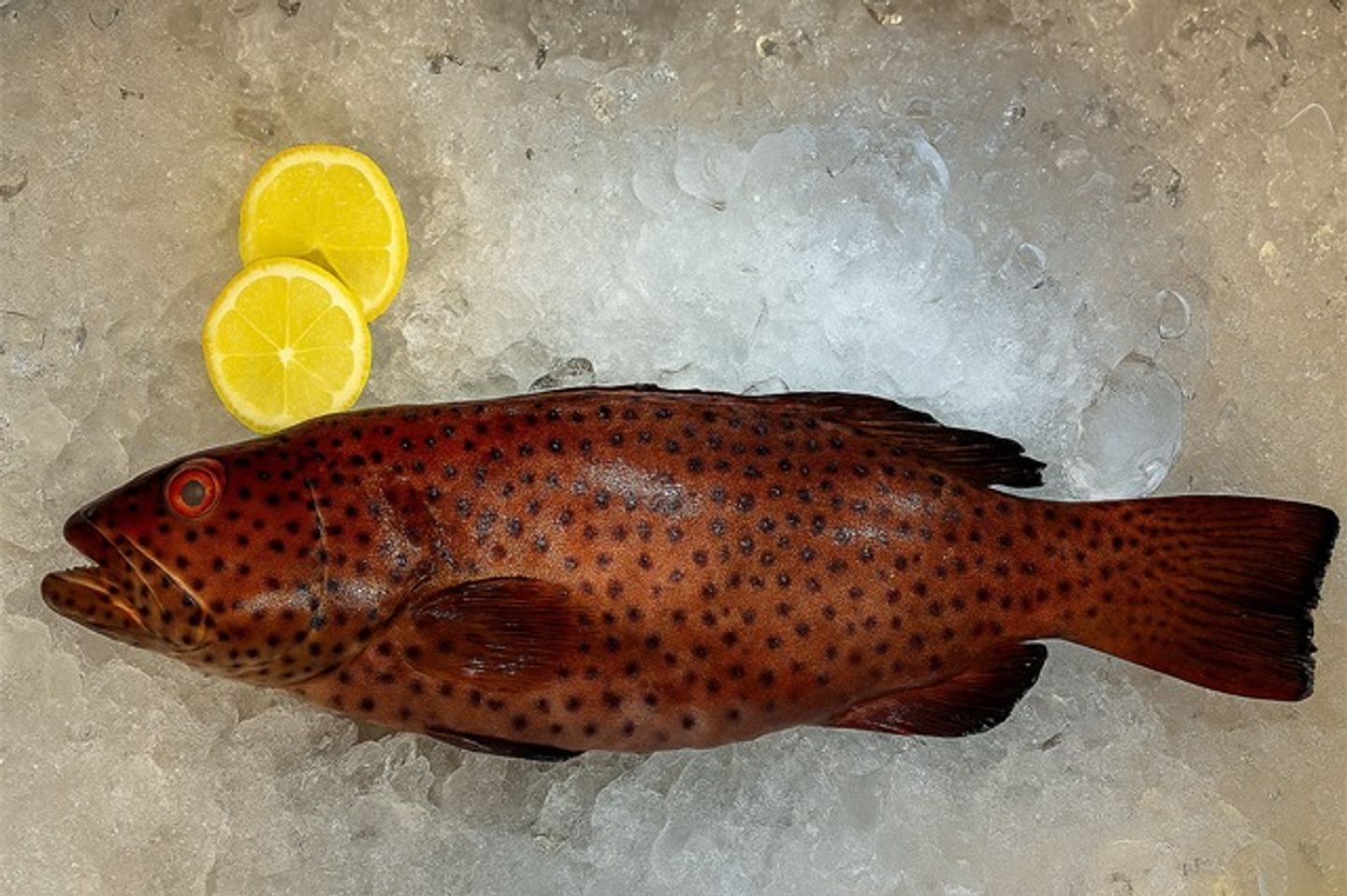 Raw Najel - ½ Kg