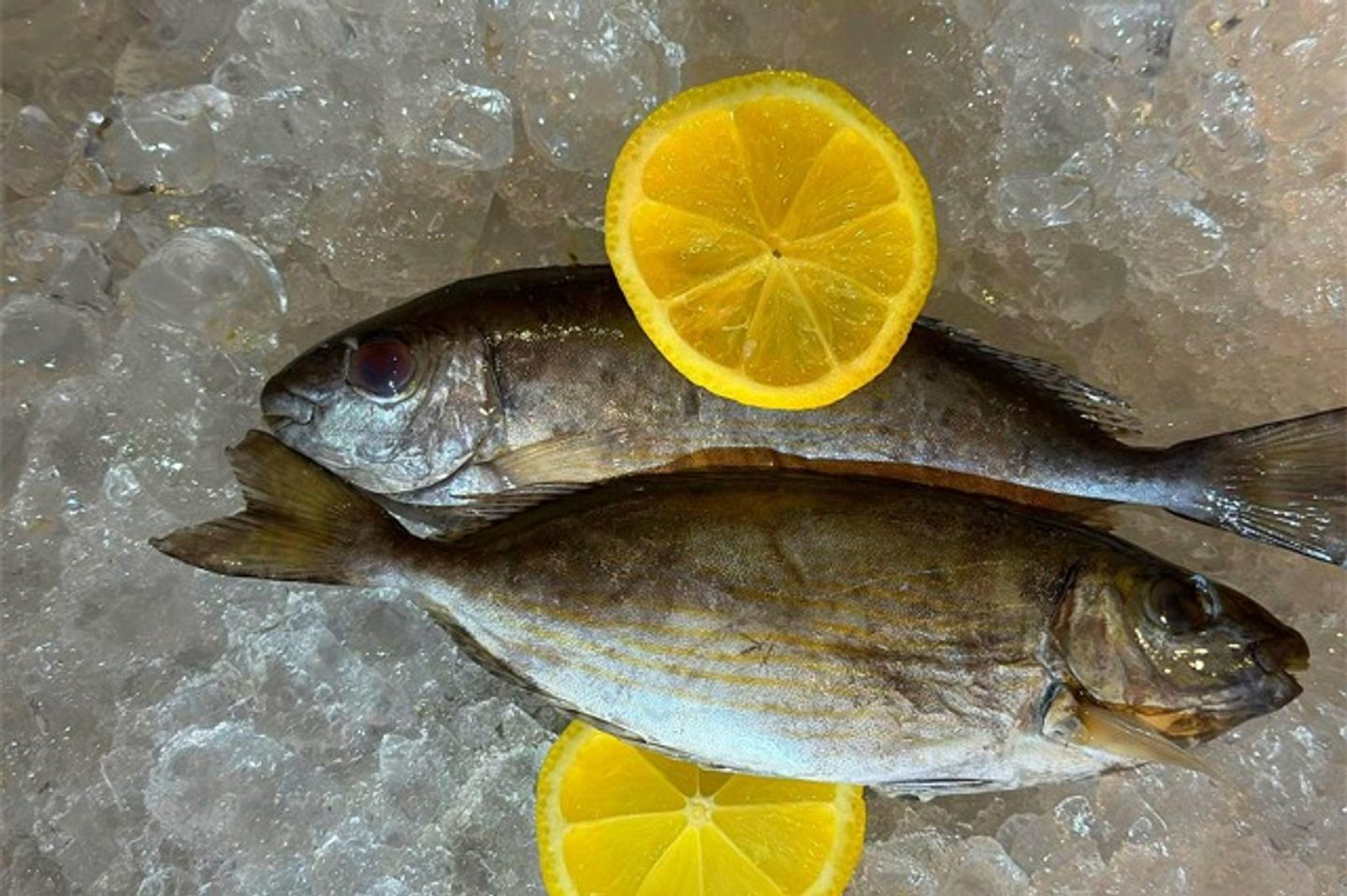 Raw Sijan - ½ Kg