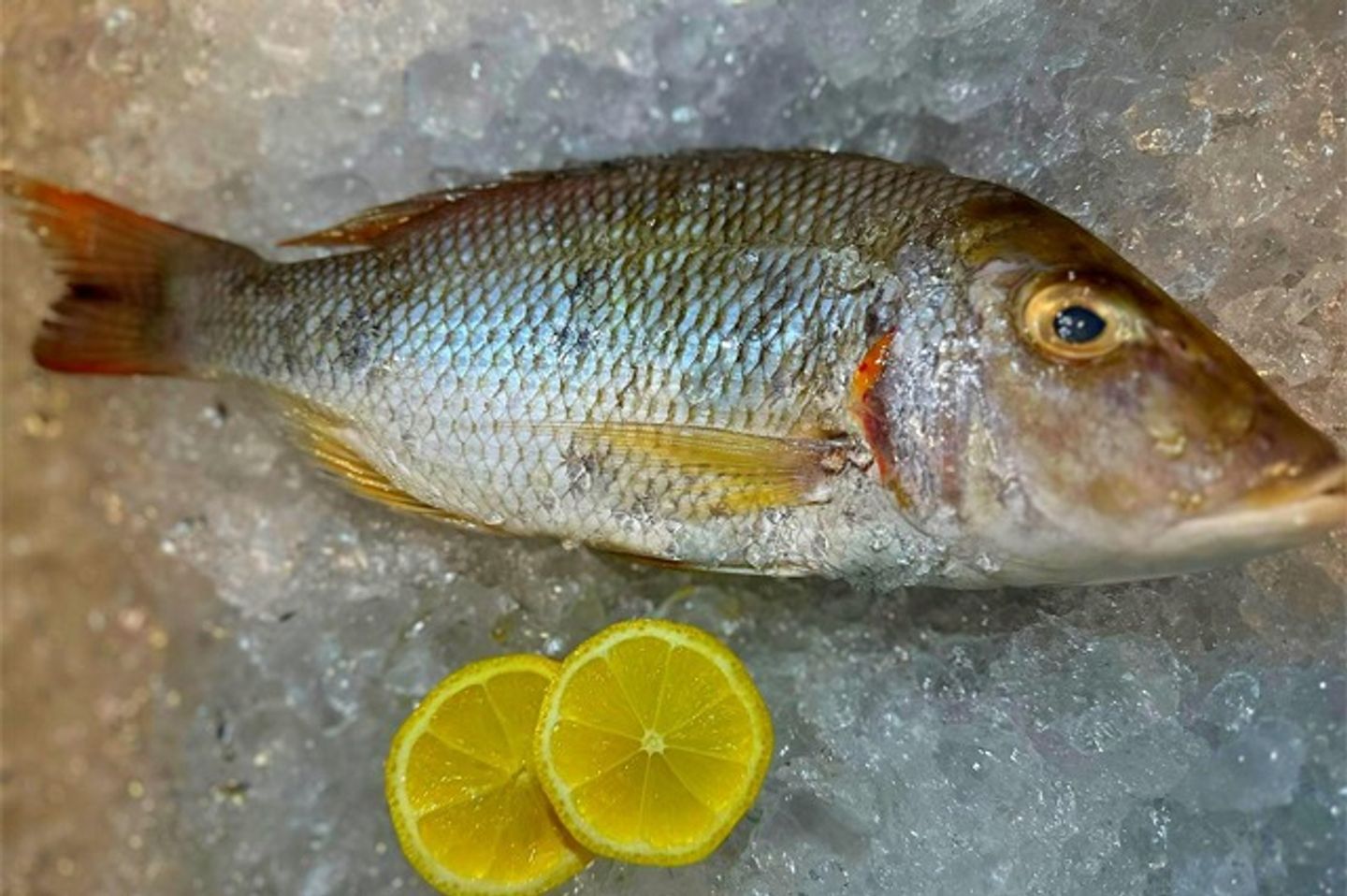 Raw Karsid - ½ Kg