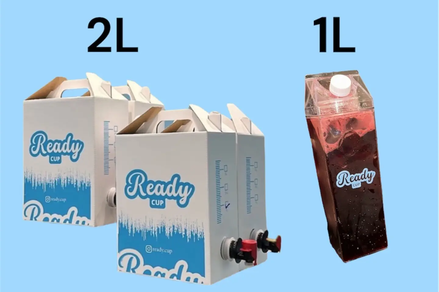 Box Ice Hibiscus - 2 L