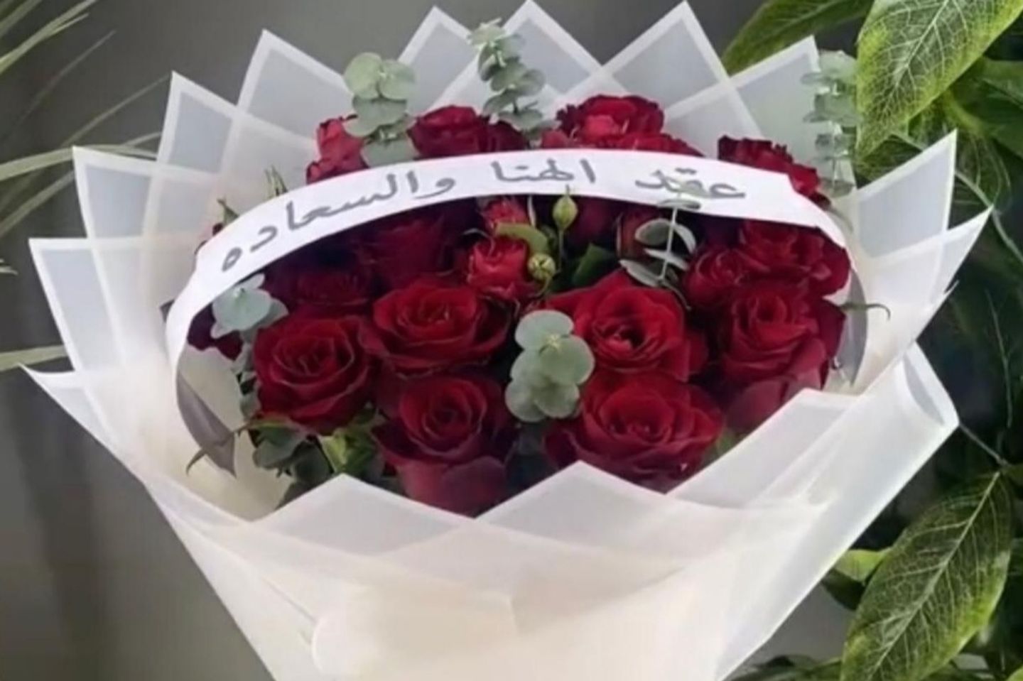 باقة ايلاف - باقة ايلاف