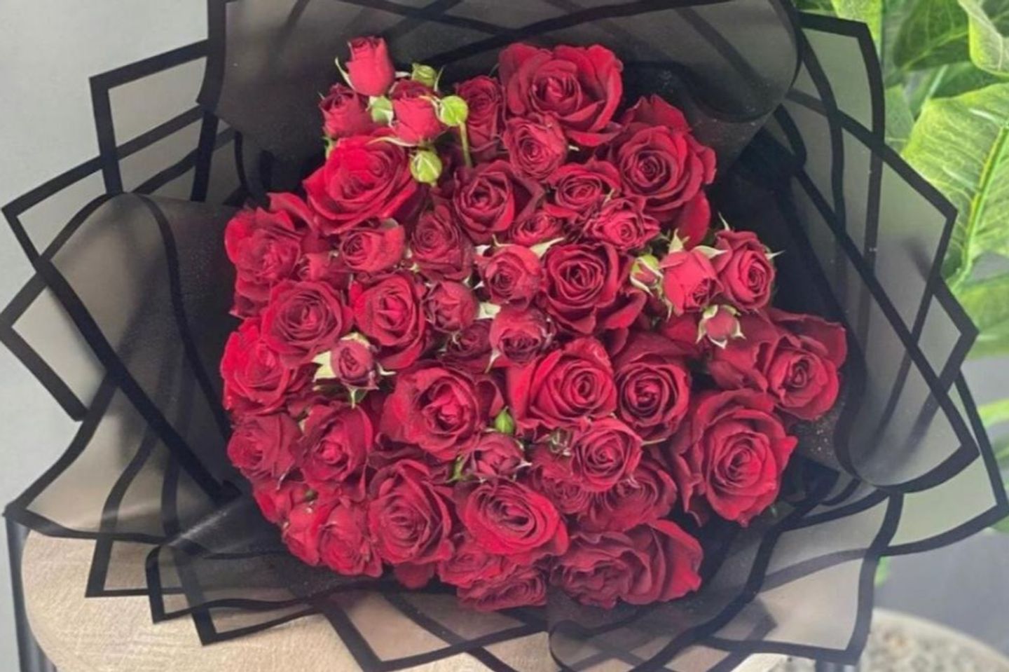 باقة المحب - باقة المحب