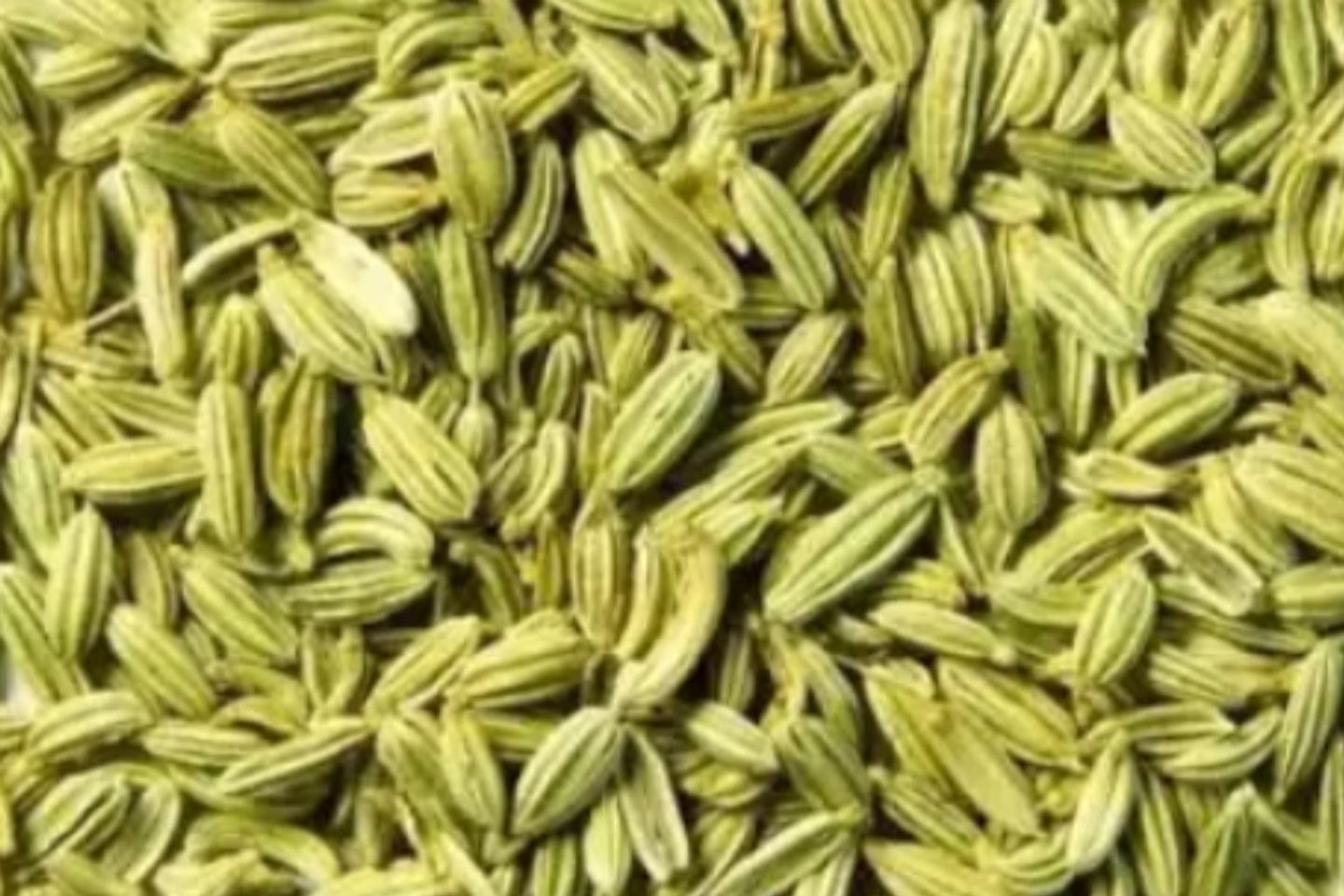 Green Fennel Seeds - Kg 1/4