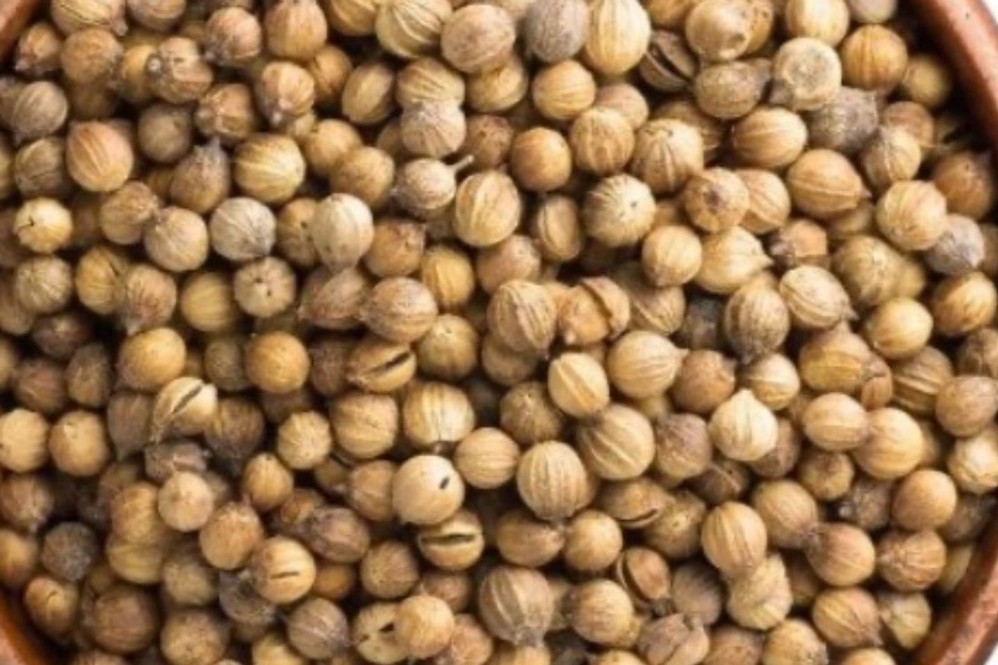 Syrian Coriander - 1/2kg