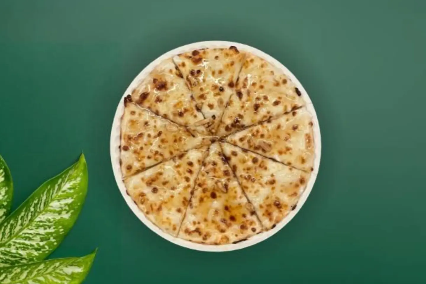 عش البلبل عادي - كبير