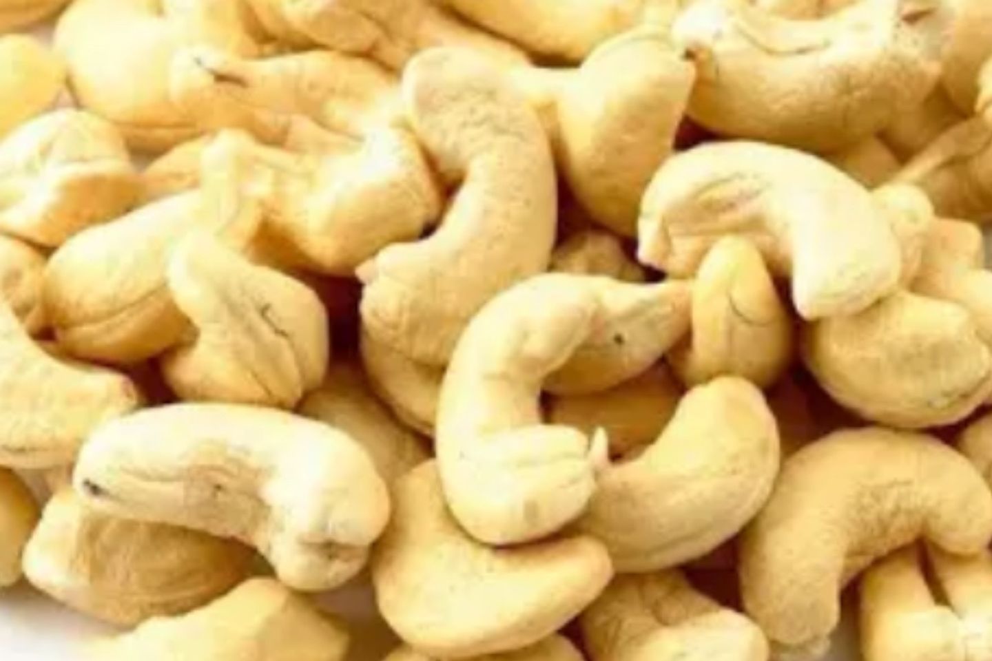 كاجو ني - نص