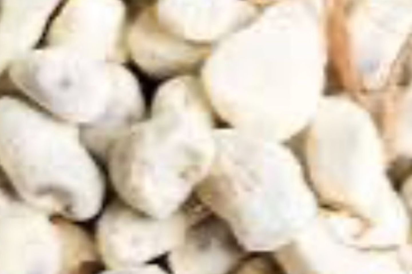 حبحبو الكيلو 40 - نص
