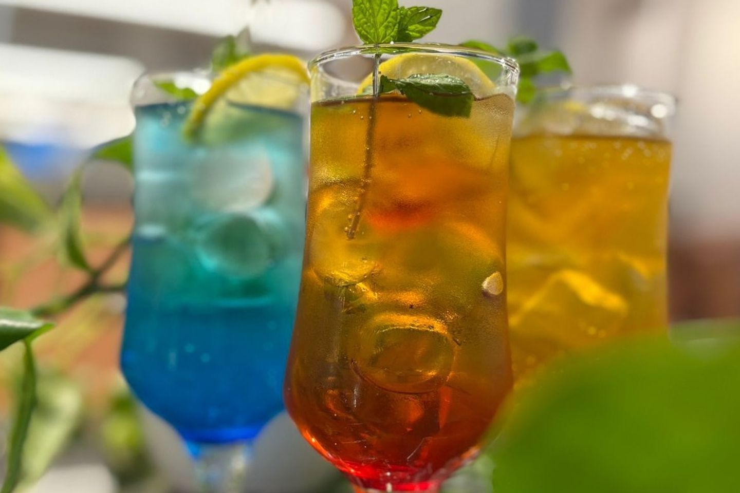 Mojito - Le