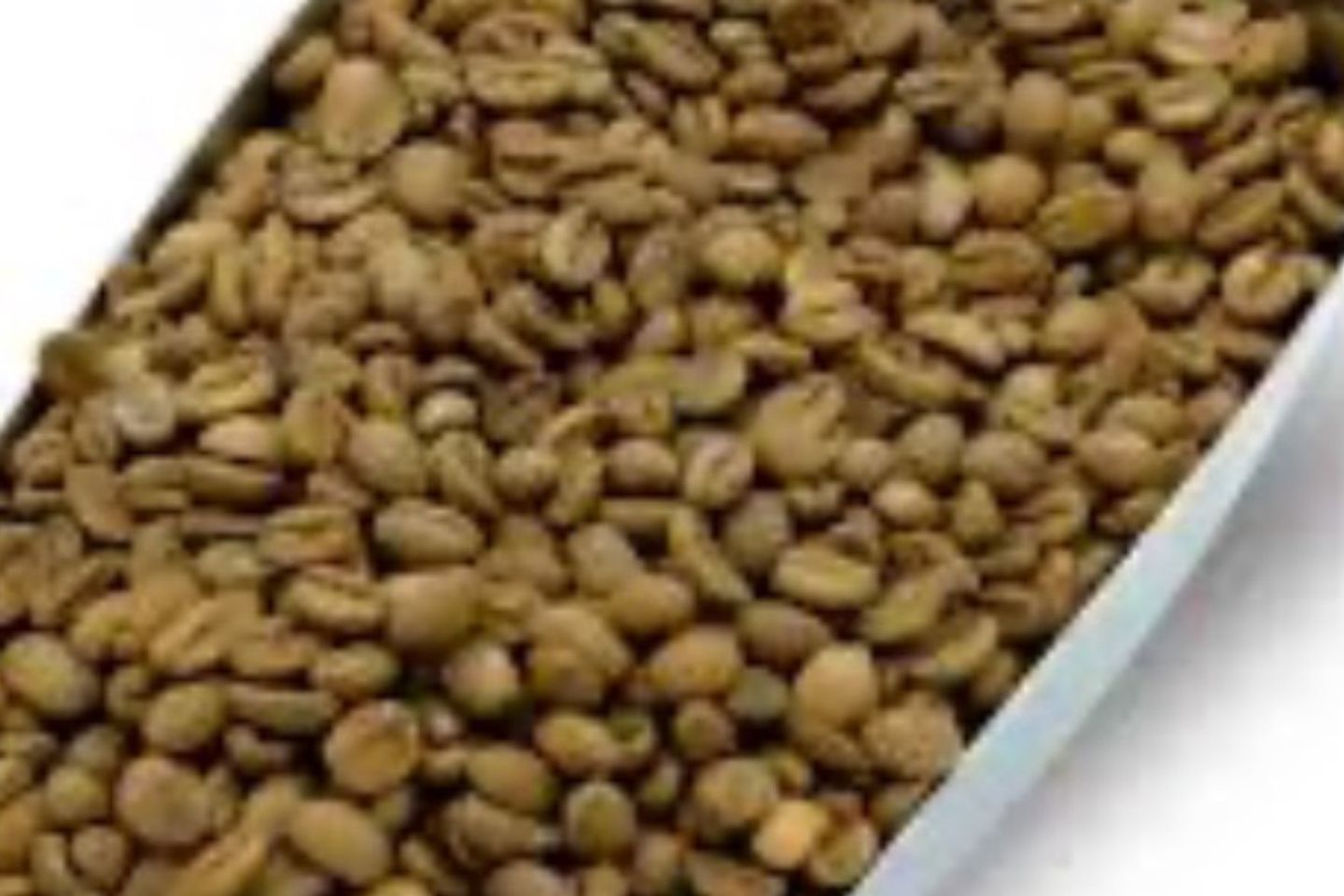 بن هرري غامق فاخر - كيلو