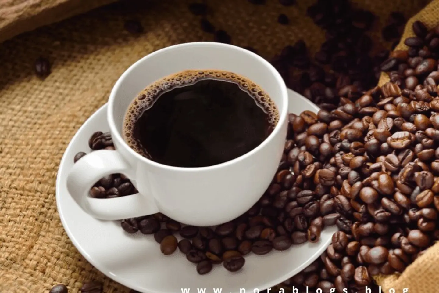 قهوة اليوم - بارد