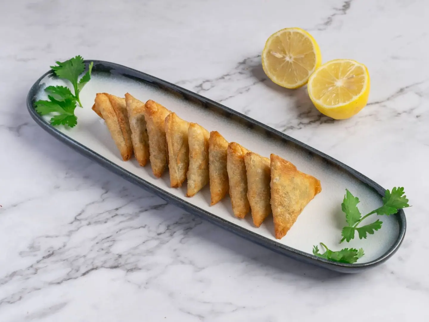 Chicken Samosa - Pieces 10