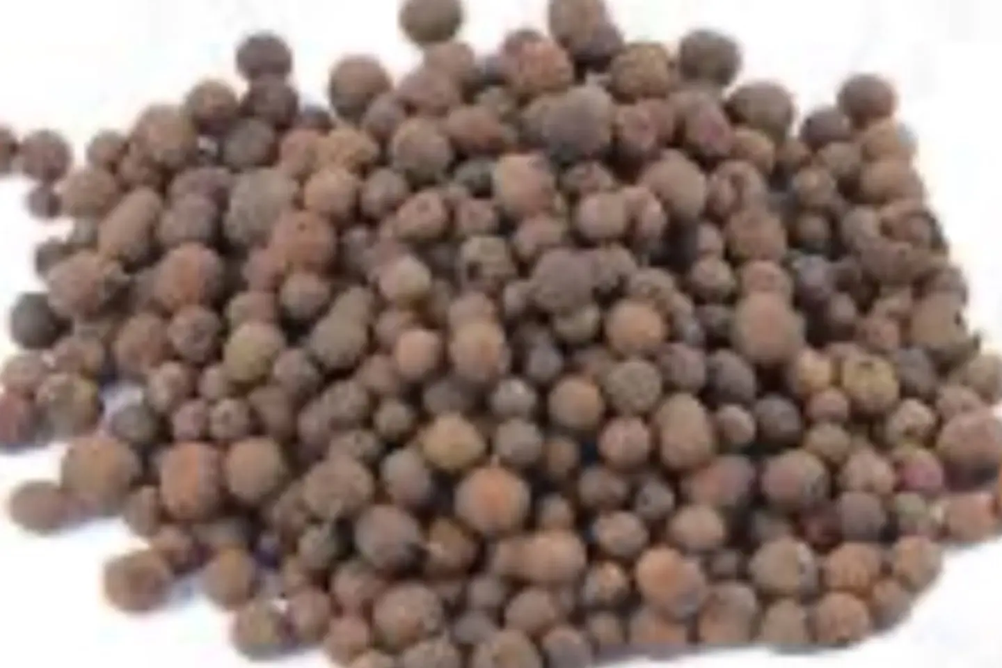 بهار حلو حب - نص