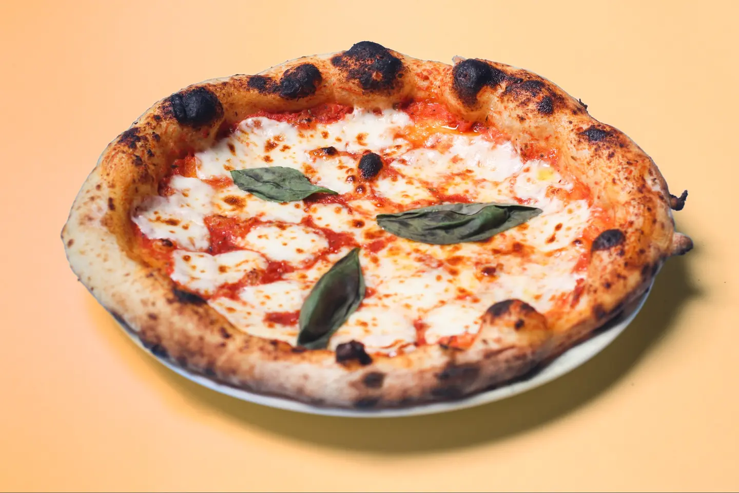 مارغريتا - وسط