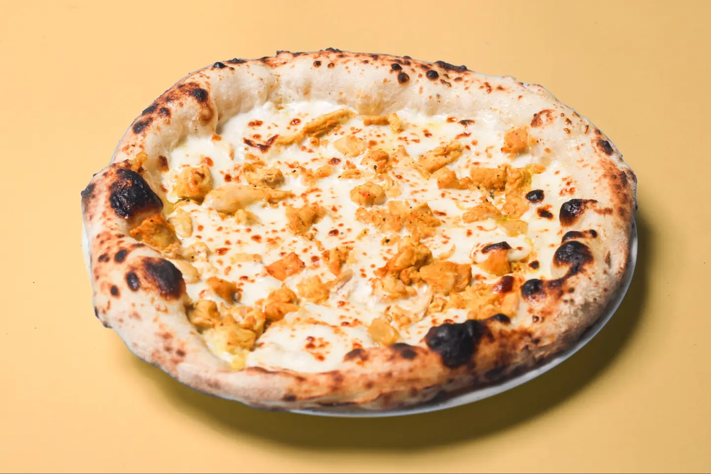 دجاج وفطر بالكريمة البيضاء - وسط