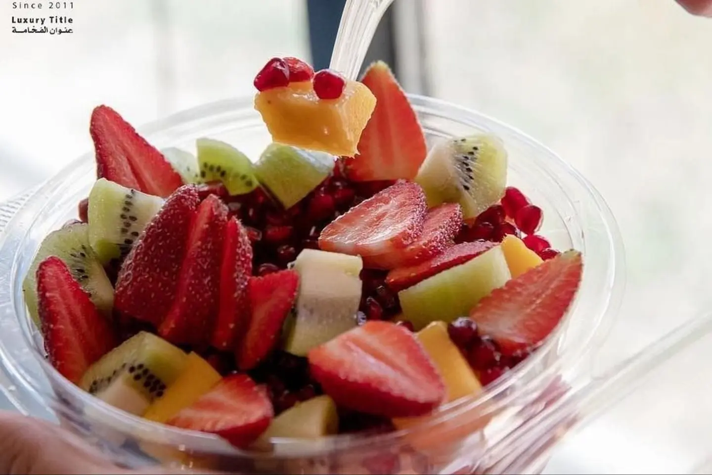Fruit Salad - 10 Pcs