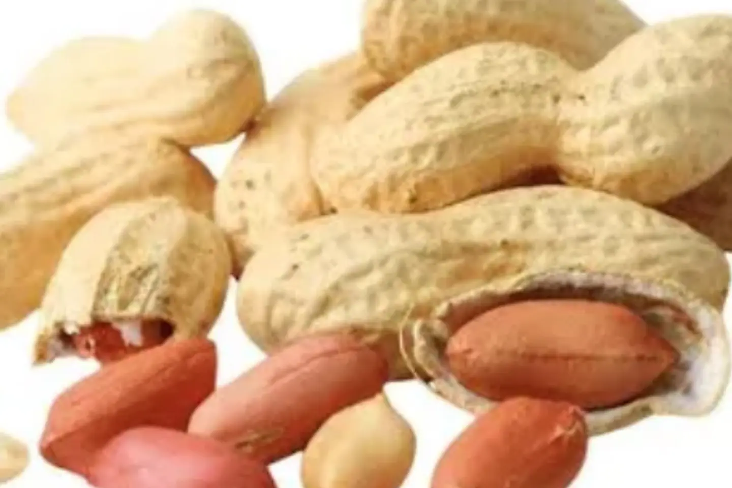 Raw White Peanuts - Kg 1/2