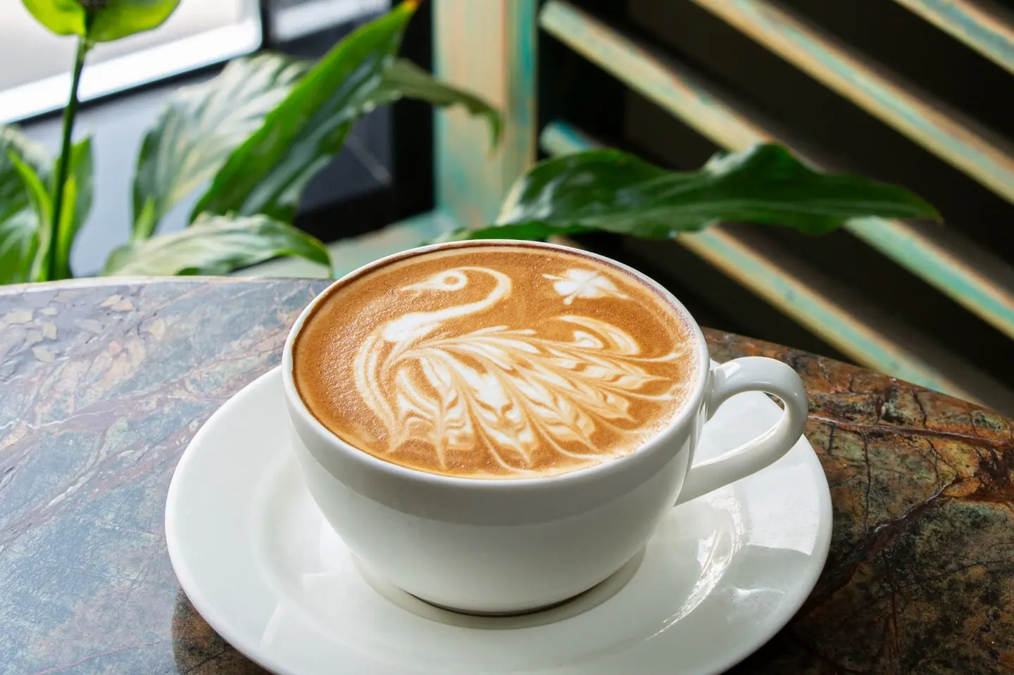 Honey Vanilla Latte - Small