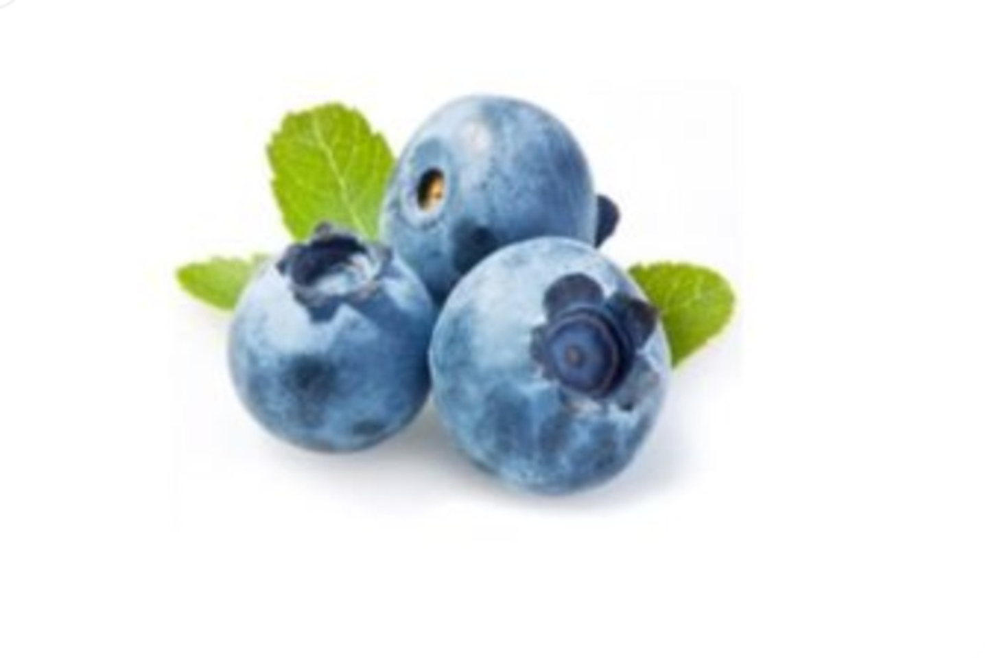 توت ازرق علبه - توت ازرق علبه