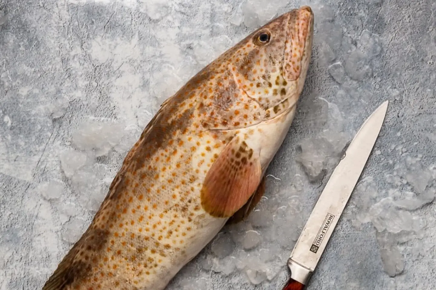 Grouper - Half Kilo