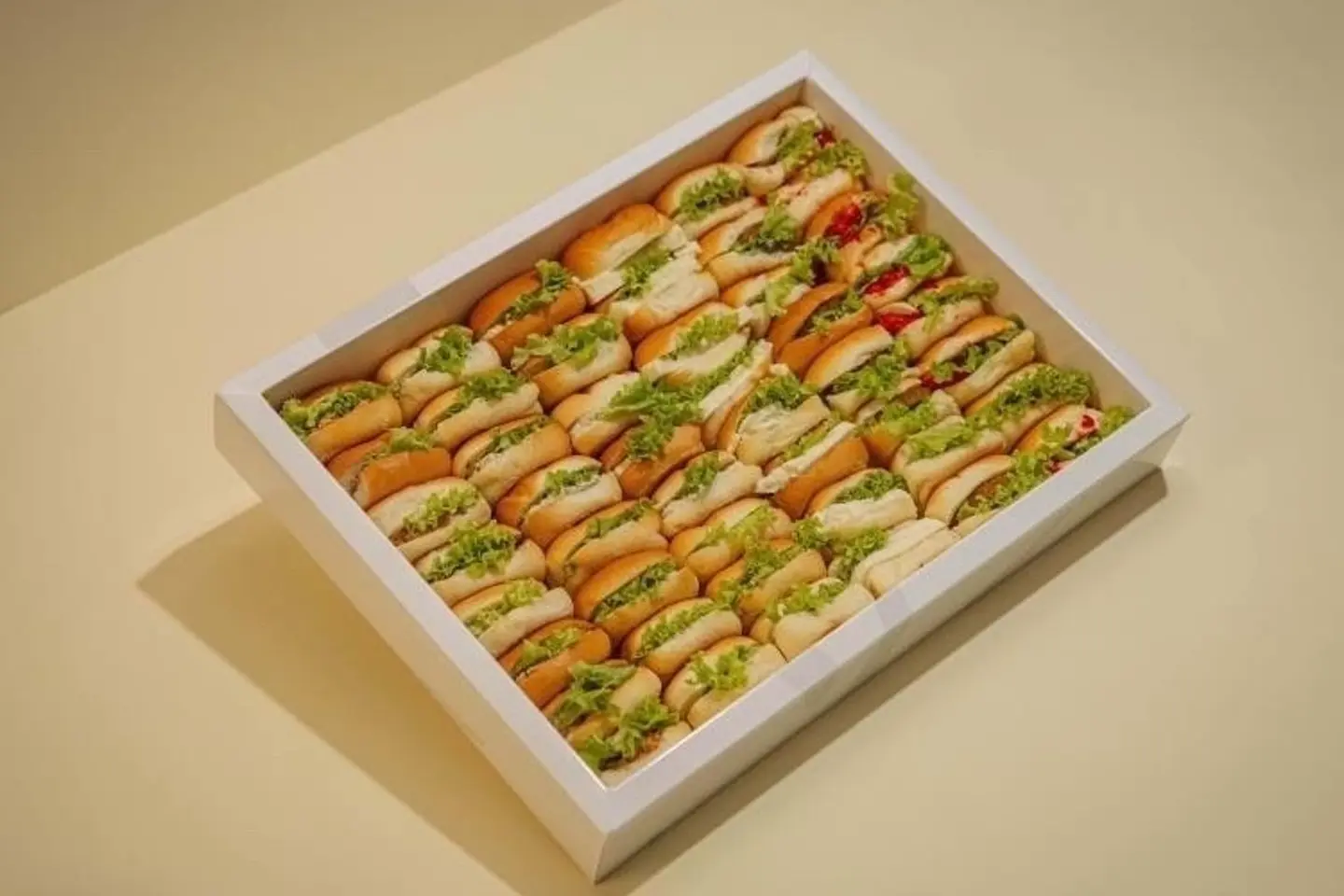 ميني سبونج - حجم صغير - ٢٤ حبة