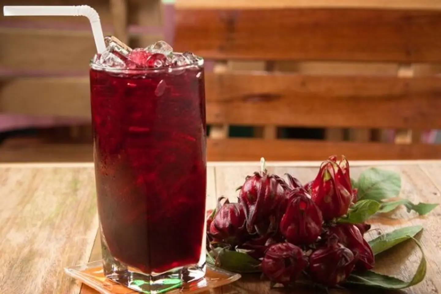 Hibiscus - Cup