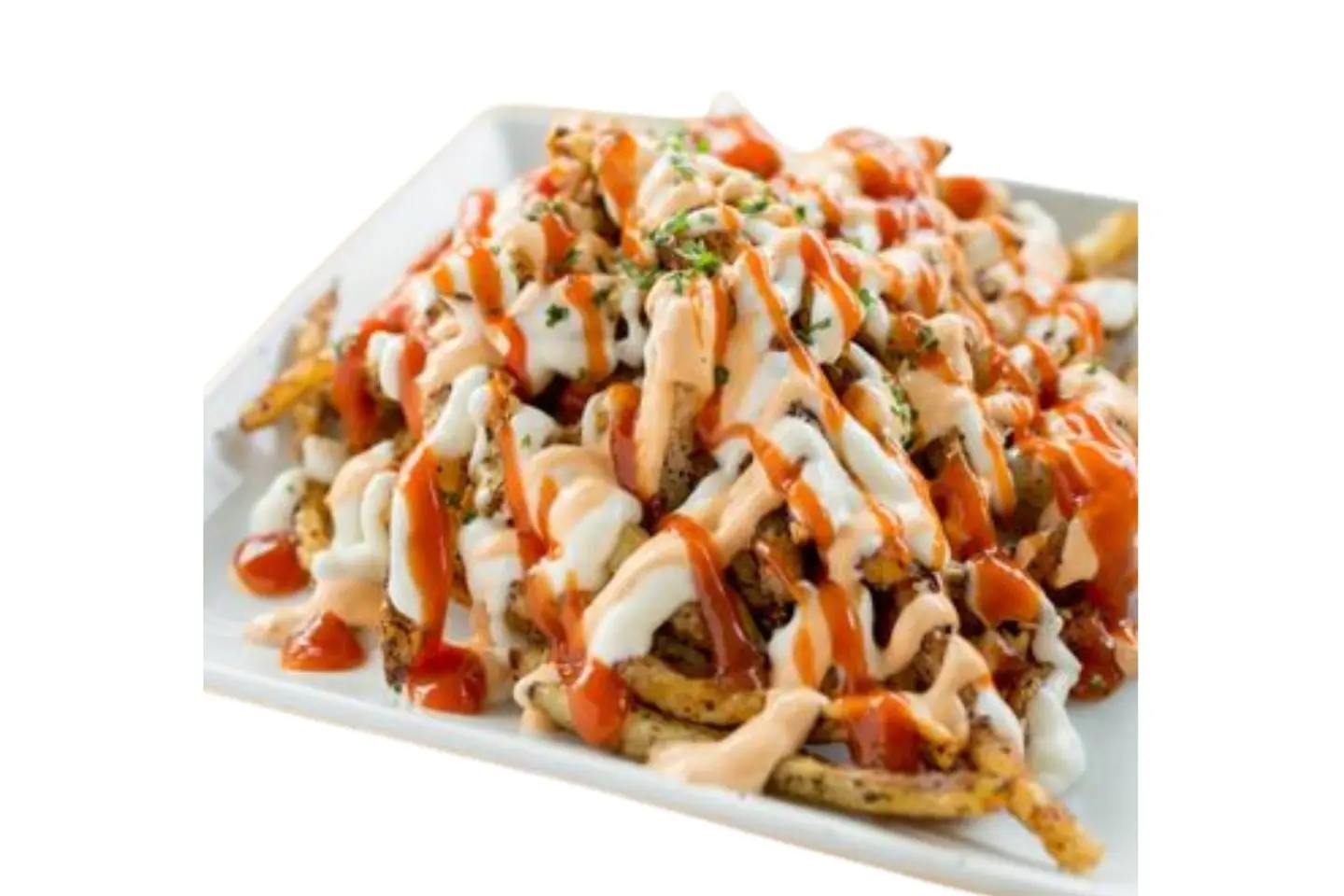 Chicken Shawarma Fries - Large