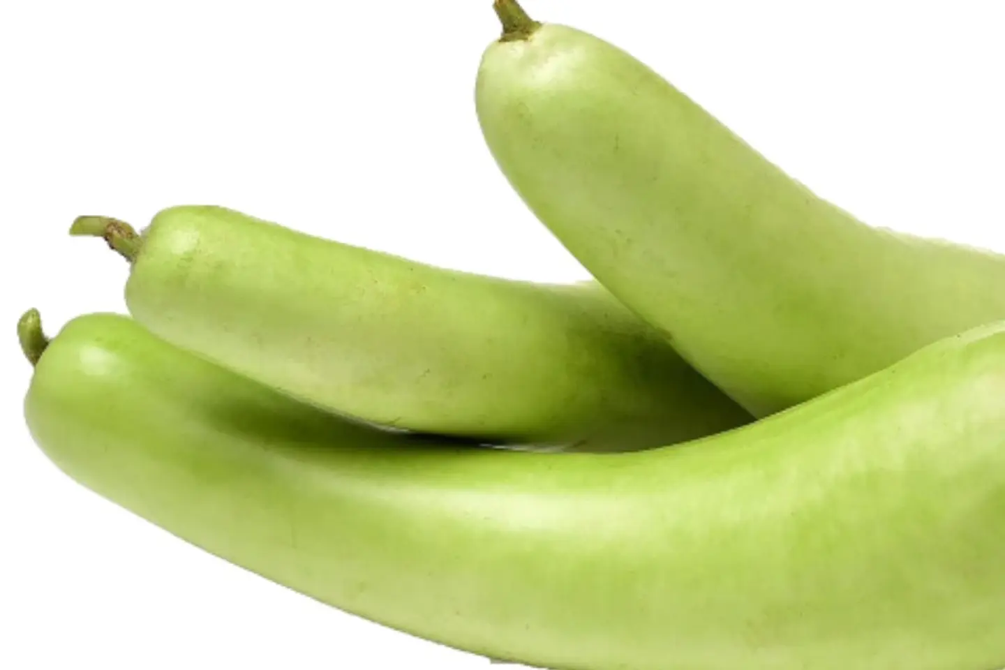 قرع بلدي كيلو - نص