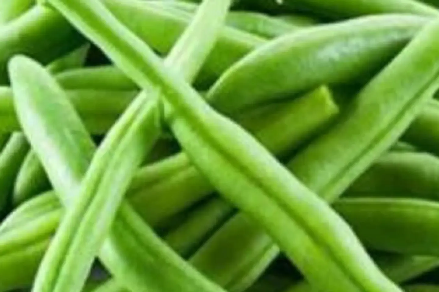 فاصوليا خضراء - نص