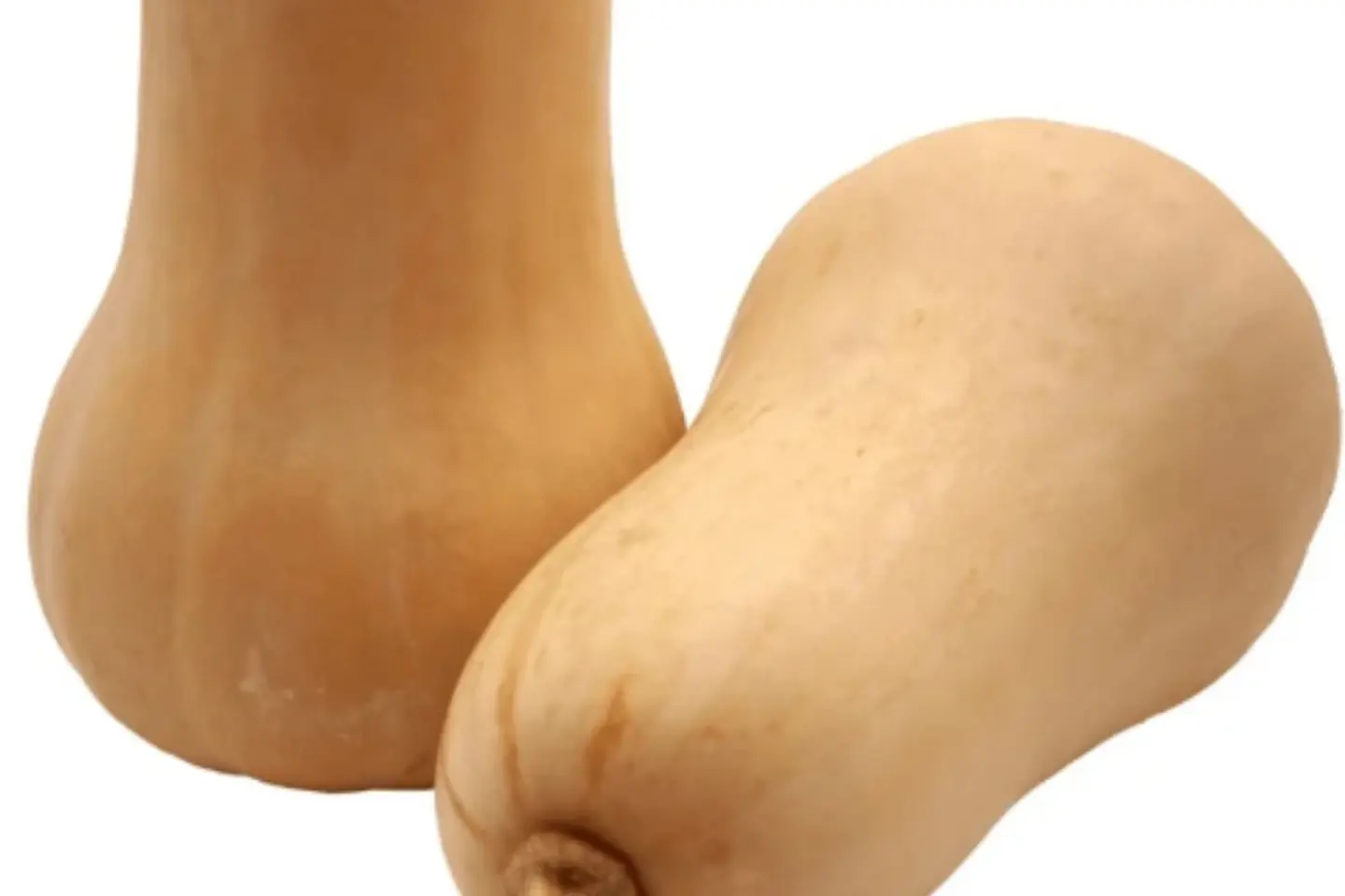 قرع امريكي فاخر - كيلو