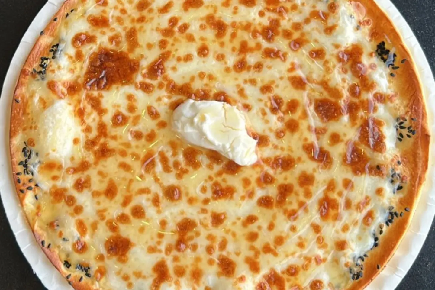 Honey Ash Albulbul - Small