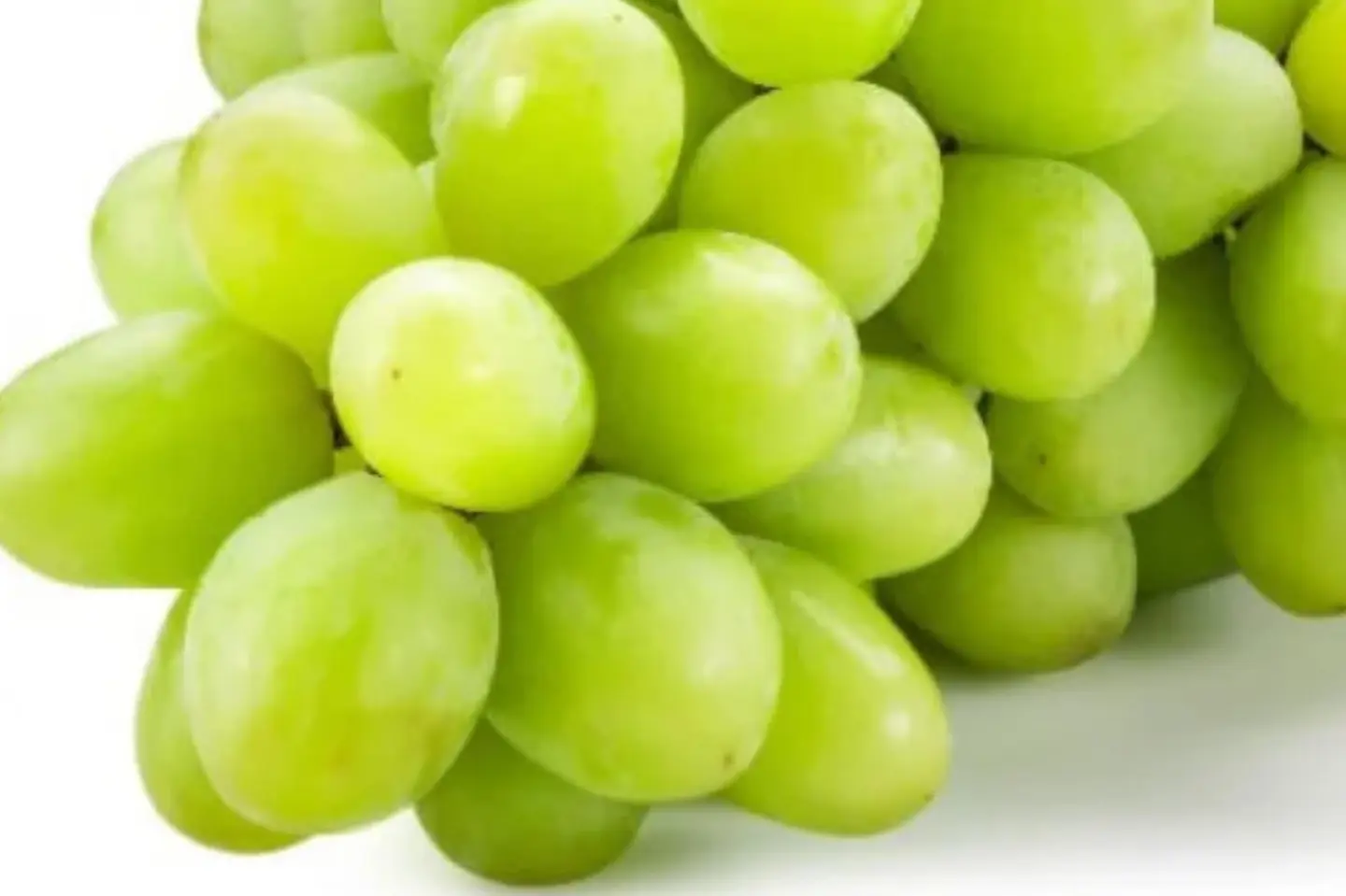 عنب اخضر - نص