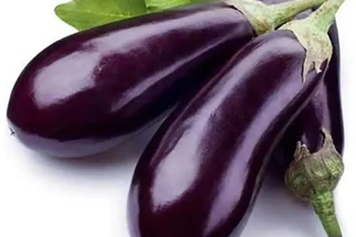 باذنجان - نص