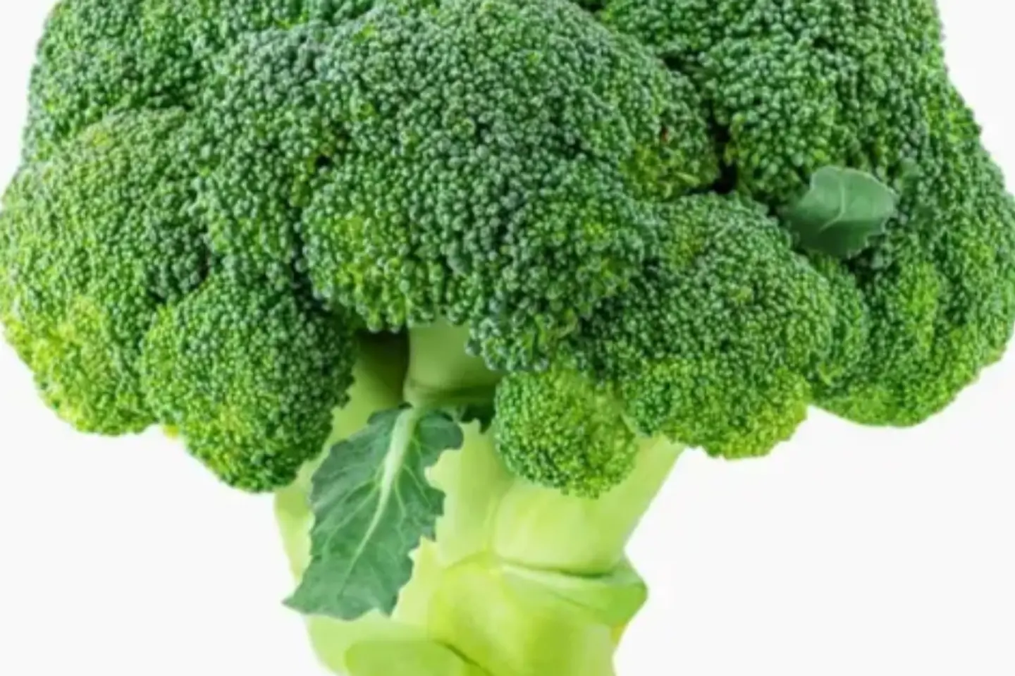 بروكلي قطعه - نص