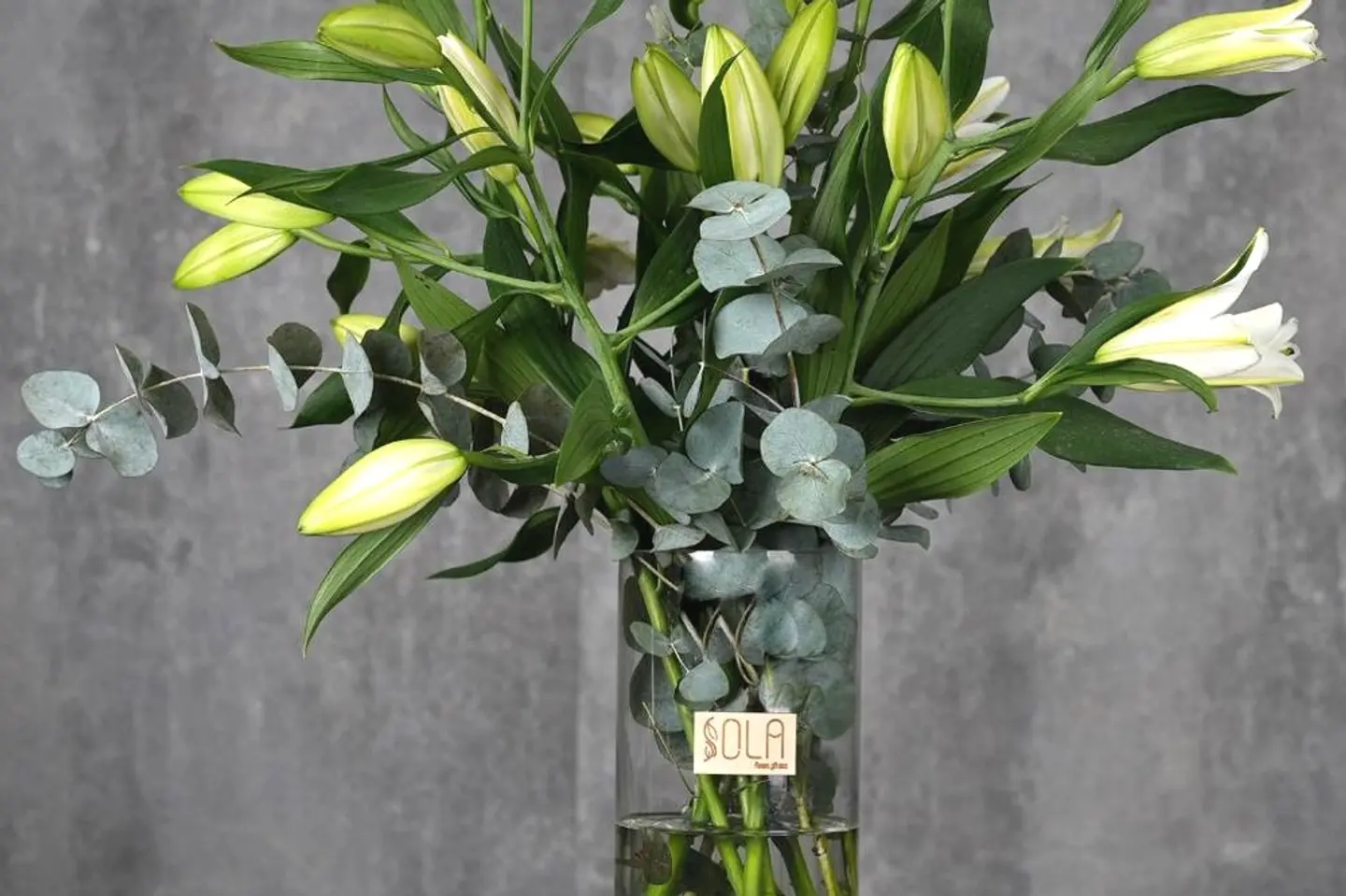 فازة كازابلانكا - كازابلانكا ابيض