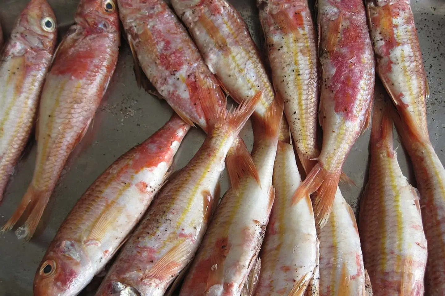 سلطان ابرهيم - نصف كيلو