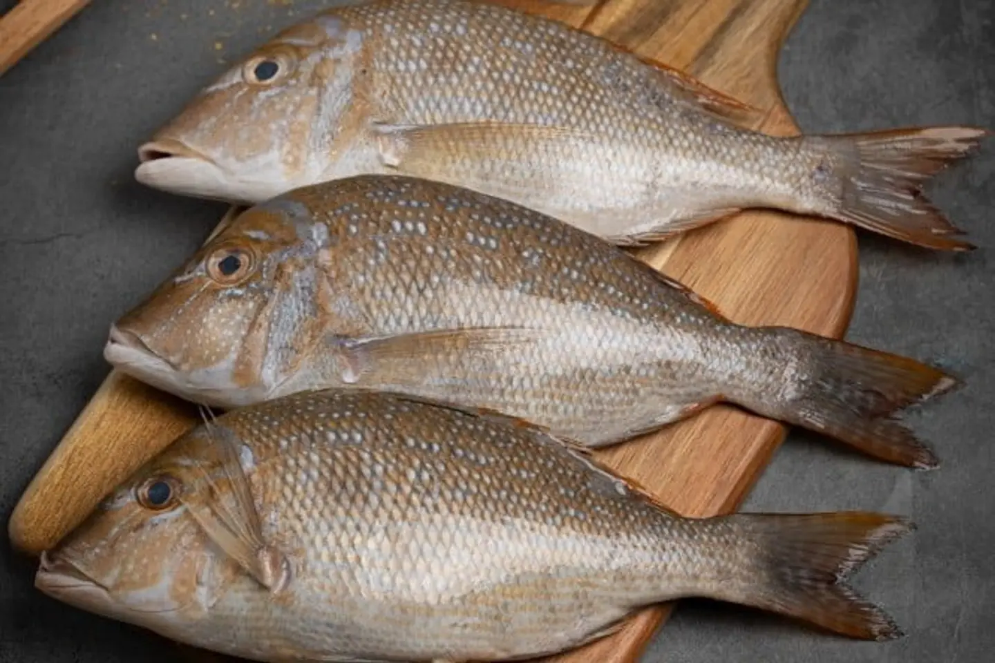 شعور - نصف كيلو