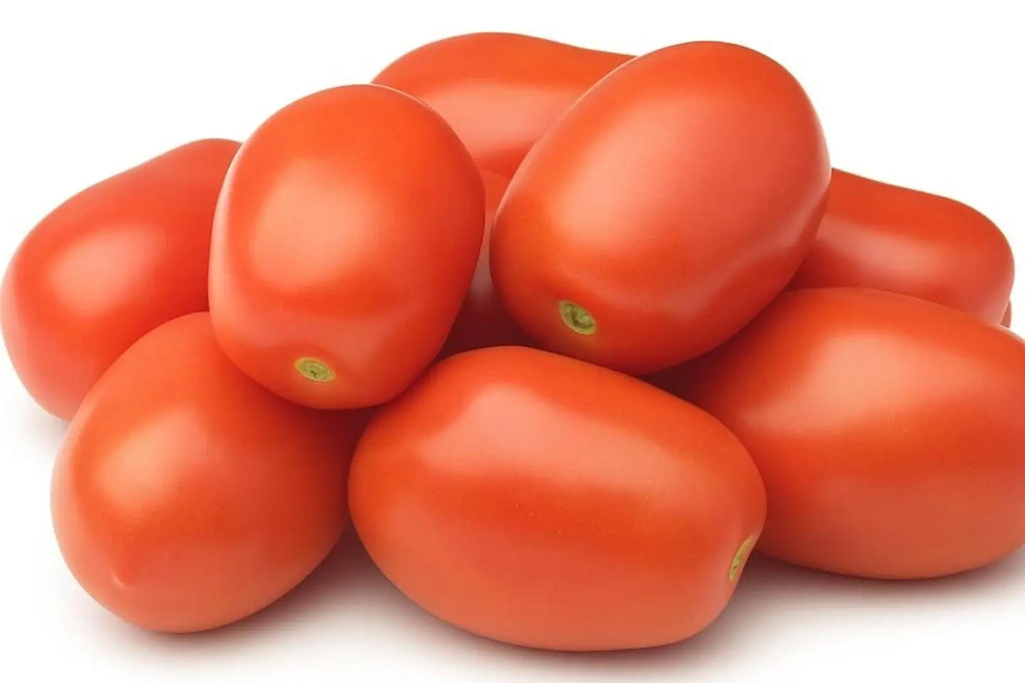 Tomato Country - 500 Gram