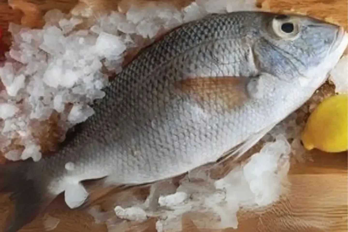 شعور قمر1 كيلو - مقلي