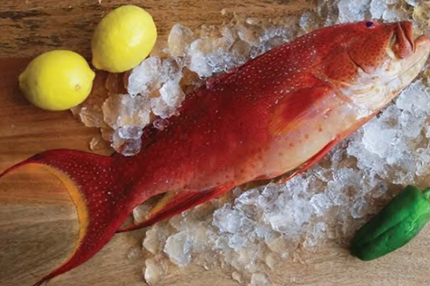 سمك شريفي 1 كيلو - مقلي