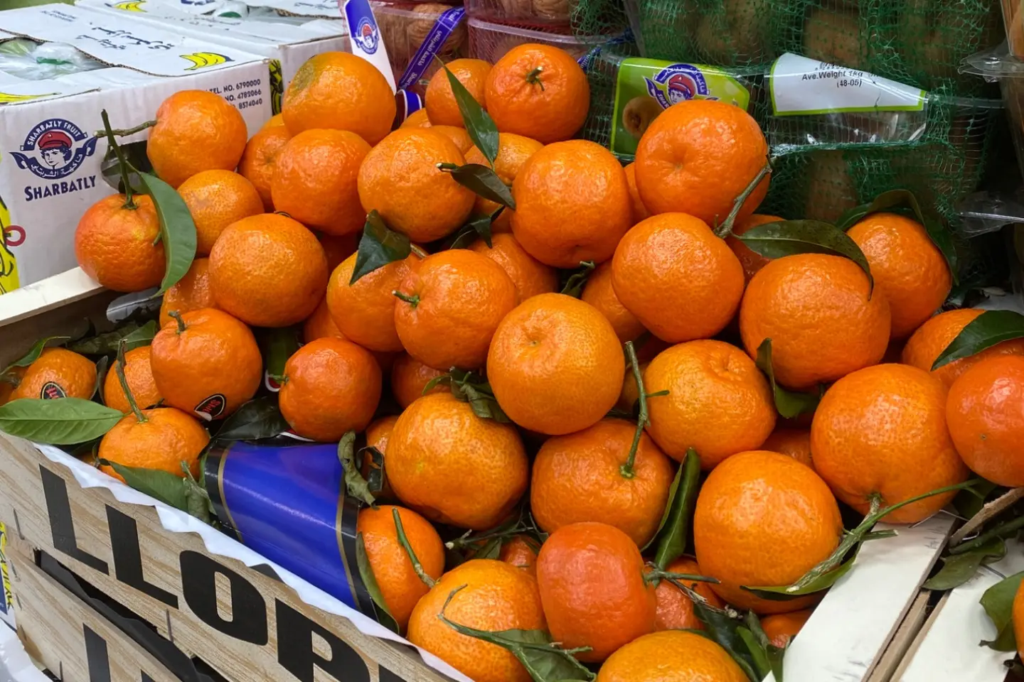 يوسفي اسباني - ٥٠٠جرام