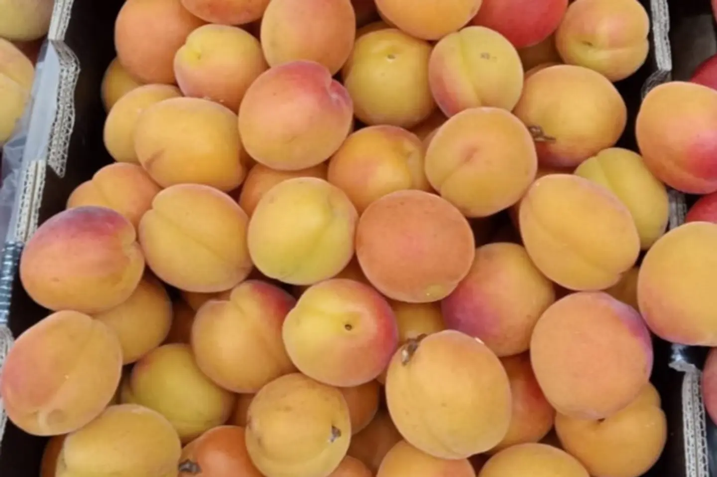 فاكه المشمش - ٥٠٠جرام