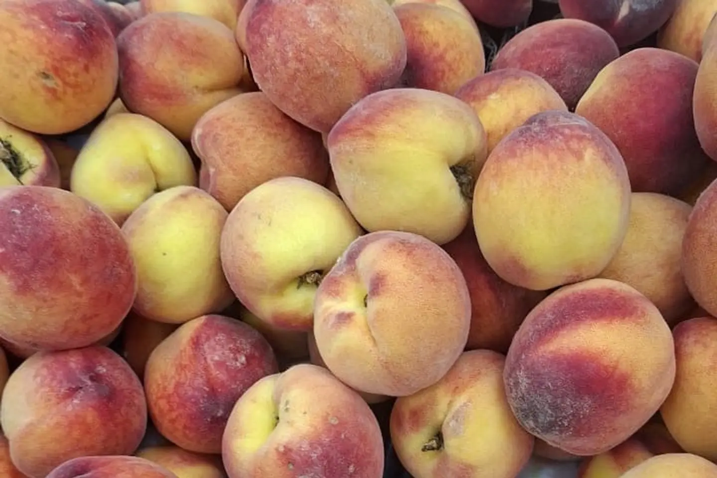 خوخ طازج - ٥٠٠جرام