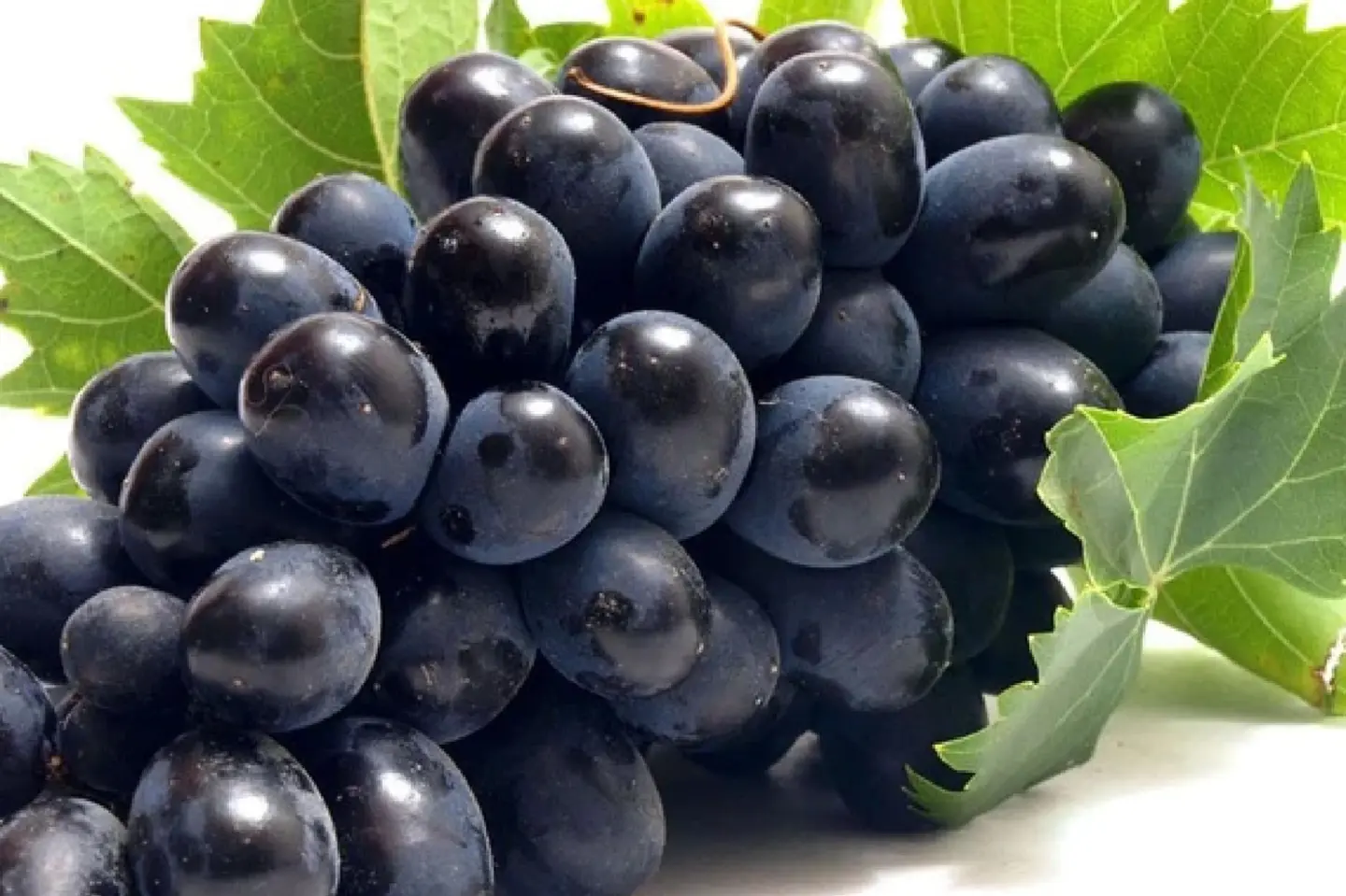 عنب أسود - ٥٠٠جرام