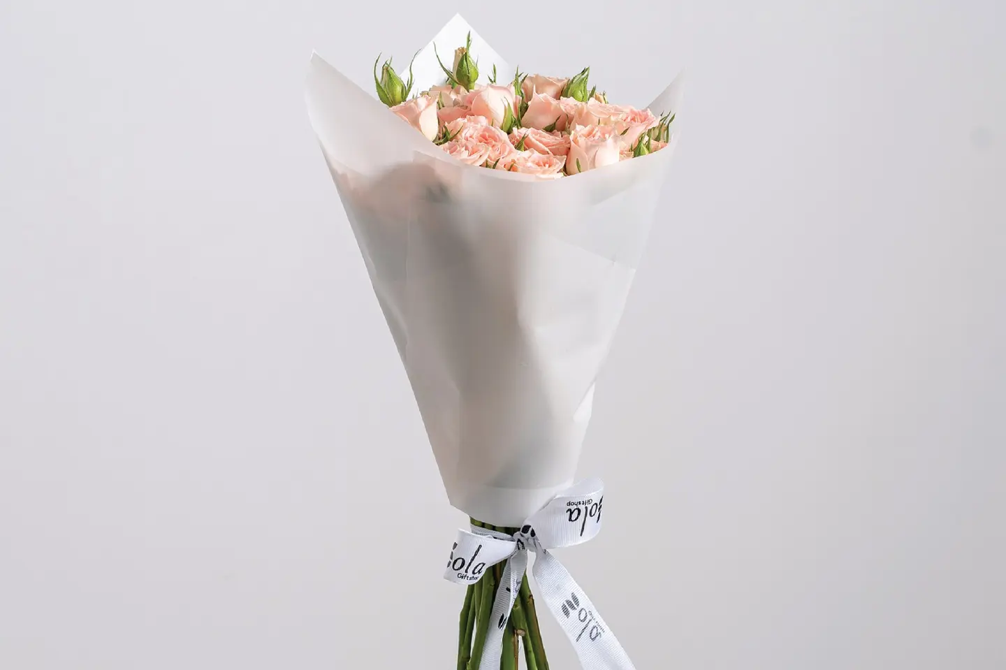 بوكيه صديقة عمري - بيبي جوري دبل كلر