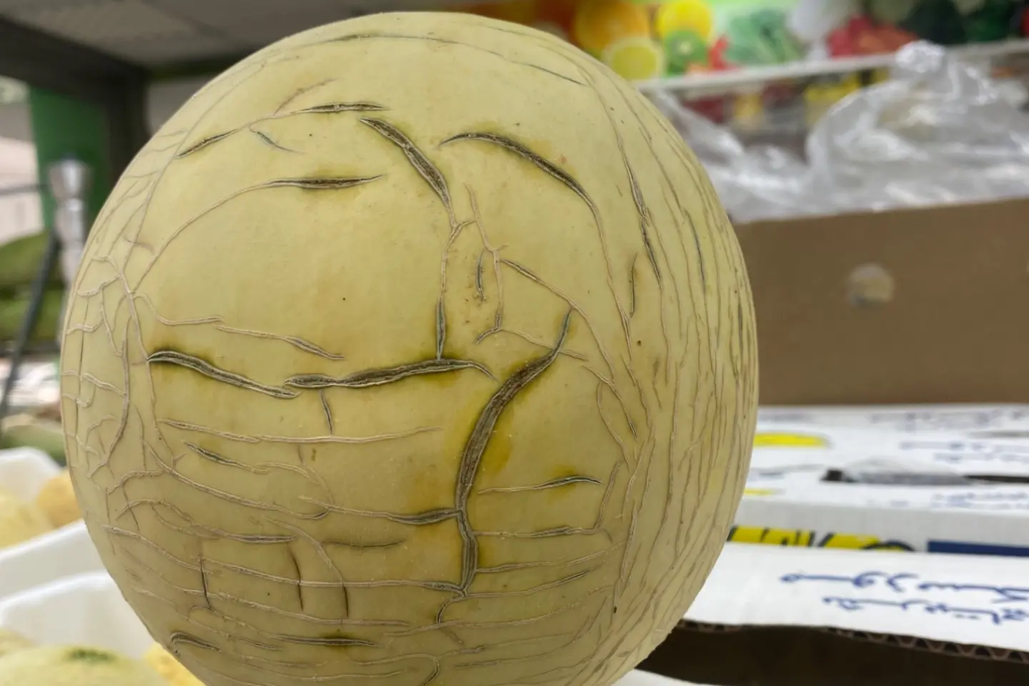 شمام صيني حبه - شمام صيني صندوق